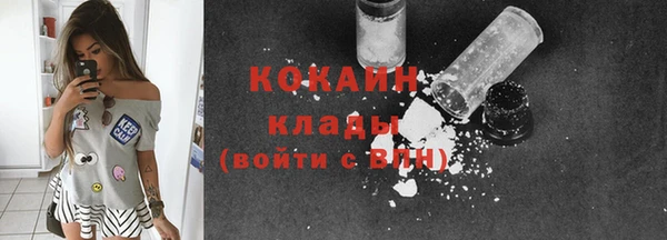 шишки Аркадак
