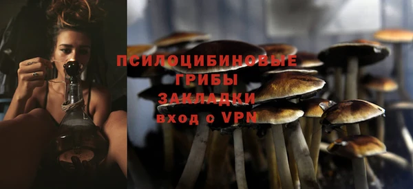 мет Арсеньев