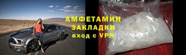 шишки Аркадак