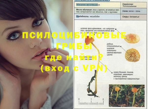 шишки Аркадак