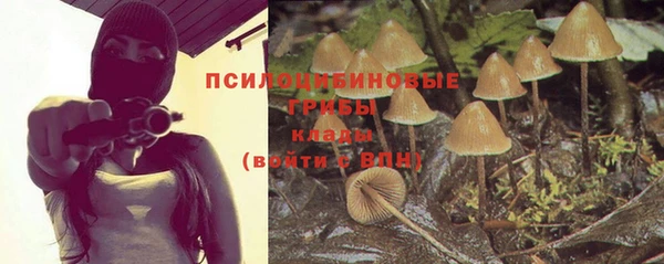 шишки Аркадак
