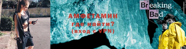 шишки Аркадак